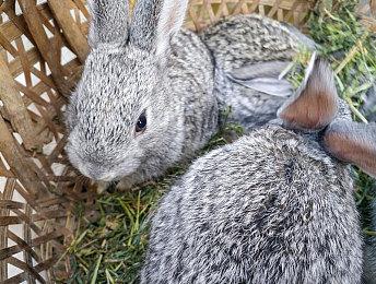 虚幻引擎5现已推出预览版 目前还不能应用于生产